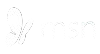 MSN News